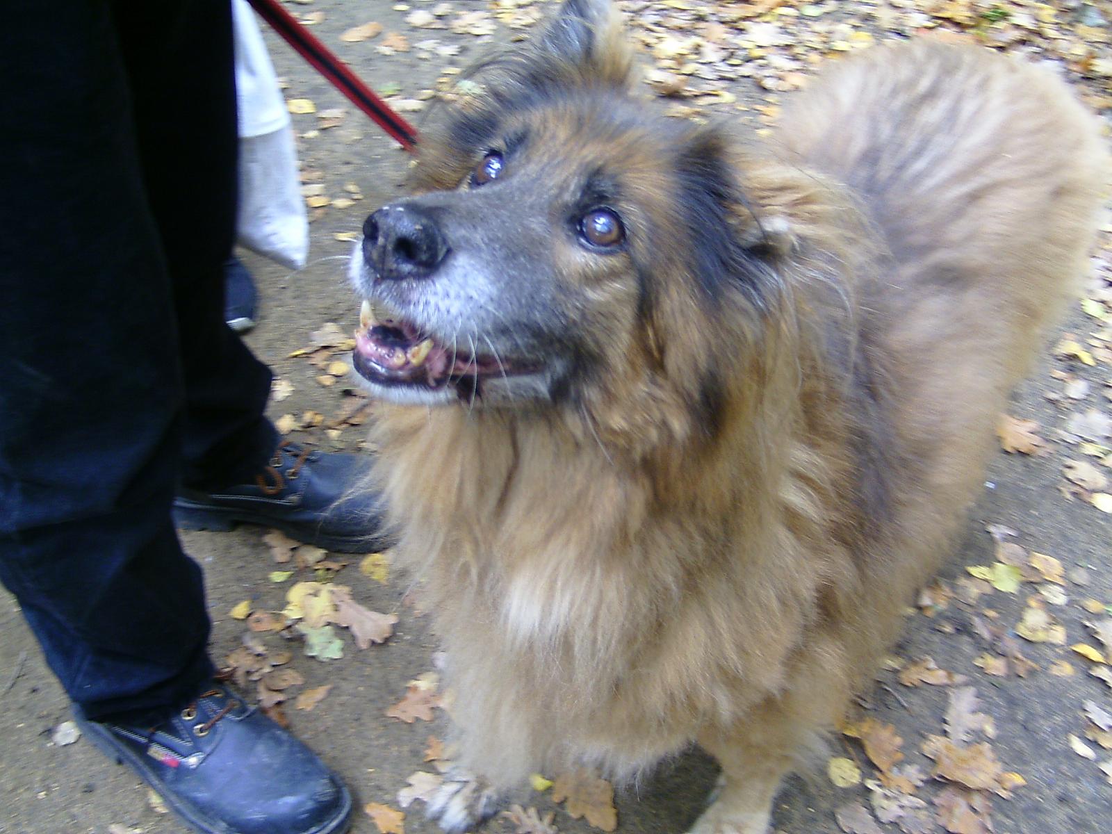 Frankenhof034.jpg