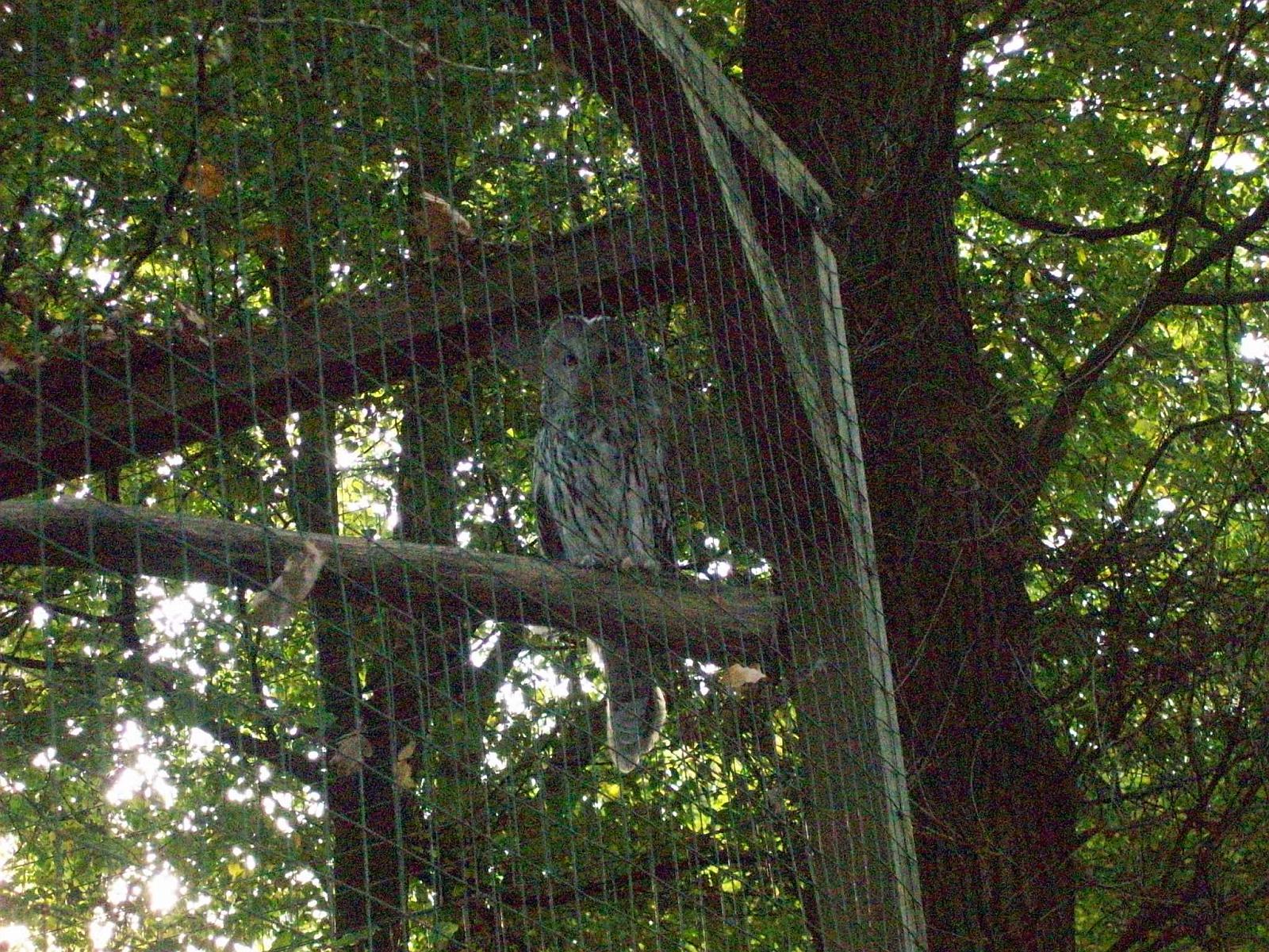 Frankenhof065.jpg