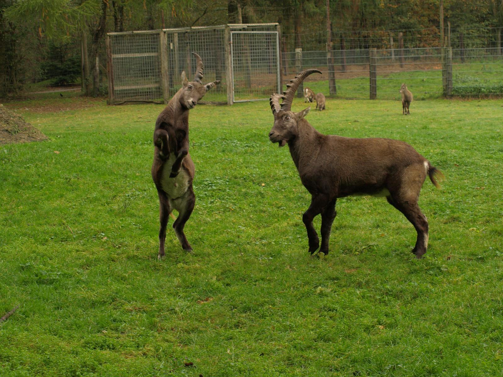 PA194533.jpg