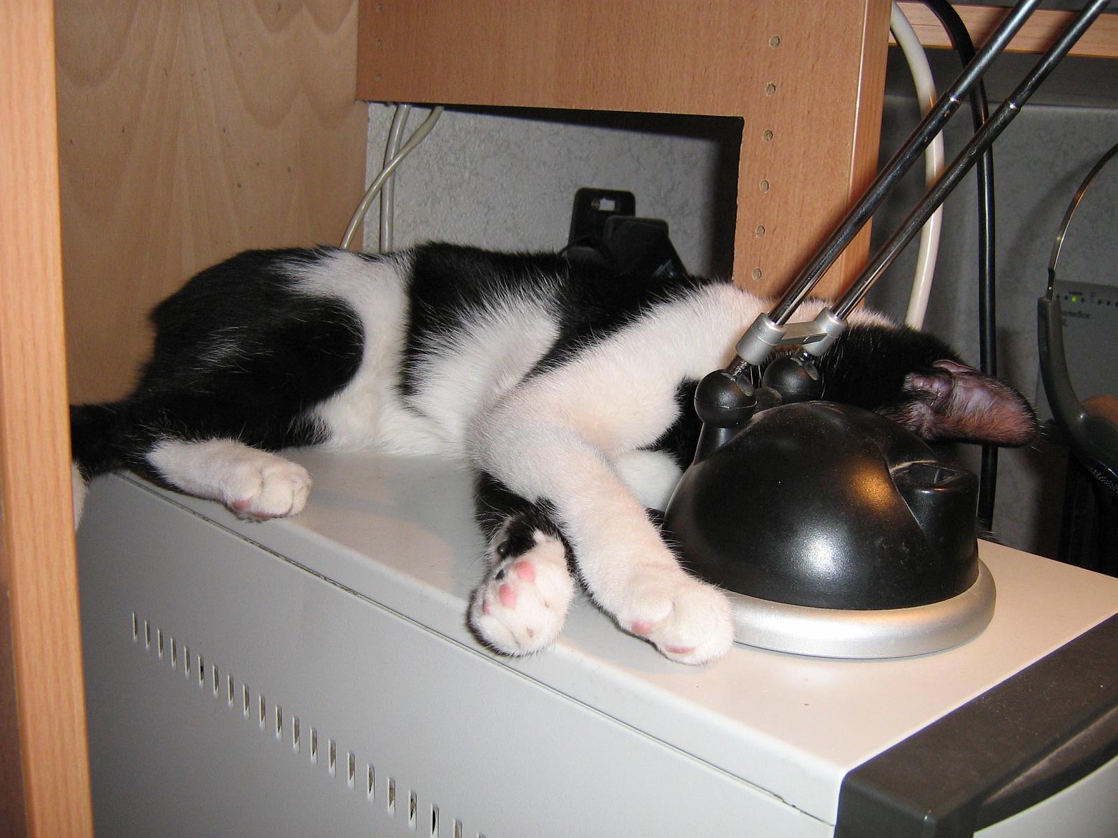 TomundJerry030.JPG