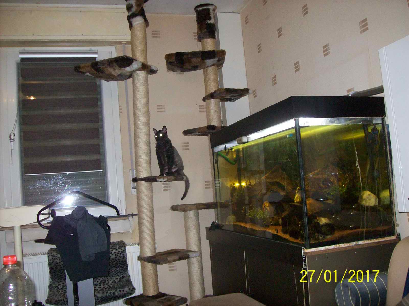 100_1444.JPG